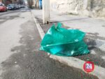 Зеленые пакеты на дорогах Ростова
